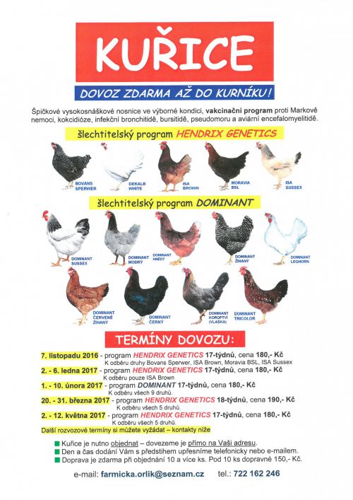 kuřice