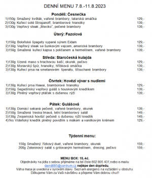 Denní menu v Obecní hospodě Babice nad Svitavou 1