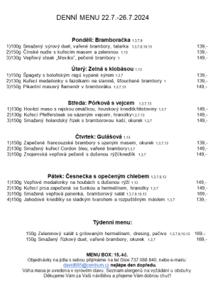 Denní menu v Obecní hospodě Babice nad Svitavou 1