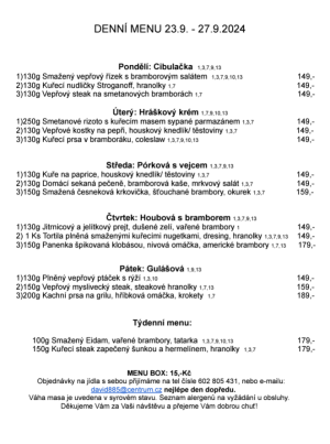 Denní menu v Obecní hospodě Babice nad Svitavou 1