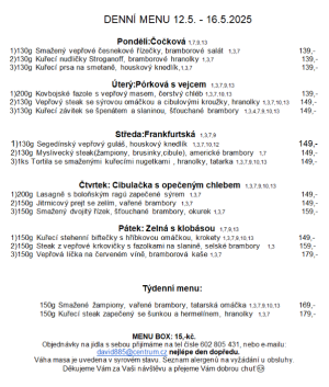 Denní menu v Obecní hospodě Babice nad Svitavou 1